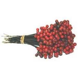 Red Plastic Berry Pick