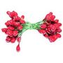 Double Ended Red Berries on Green Wire