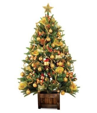AFK 15 inch Wooden Christmas Tree Stand - Teak