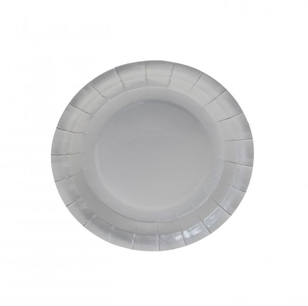 7 Inch Silver Party Plates