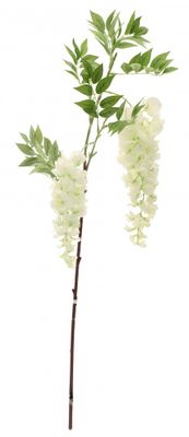 Two Head Wisteria White 90cm