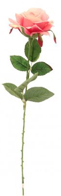 Rose Fuchsia 