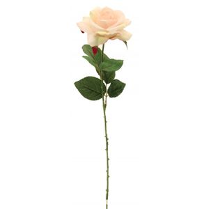 Rose Light Pink