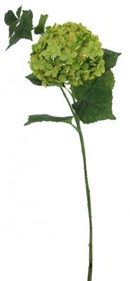  Large Hydrangea Green 