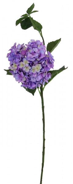 Large Hydrangea Lilac 