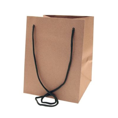 Moss Handle Kraft Bag