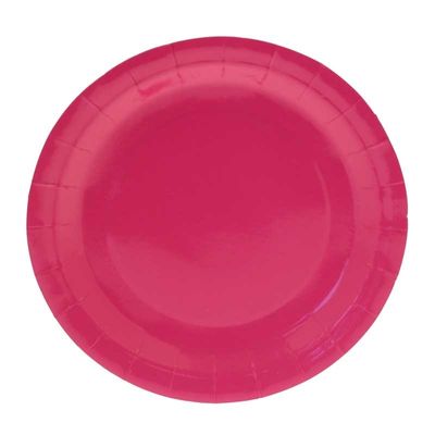 Hot Pink Party Plates