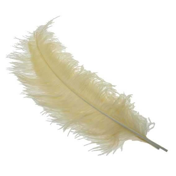Cream Feather
