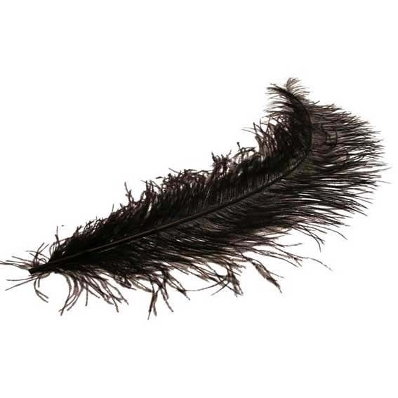 Black feather