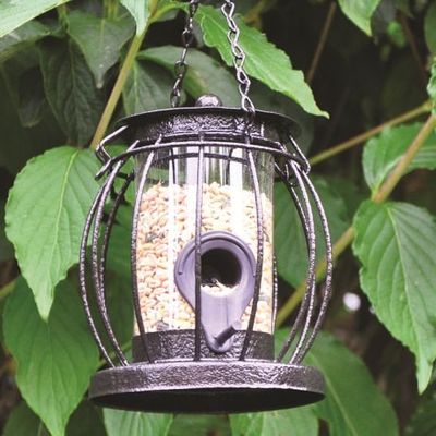 Kingfisher Caged Seed Feeder