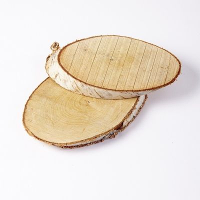 Large Birch Slice