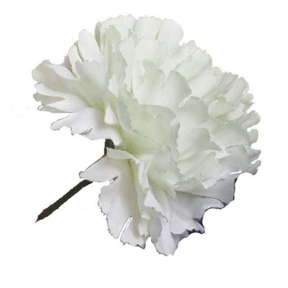 White carnations clearance