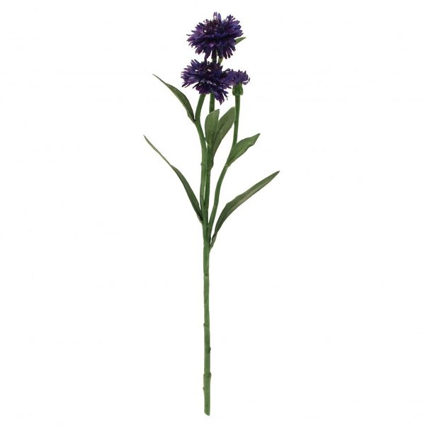 Cornflower Blue and Purple