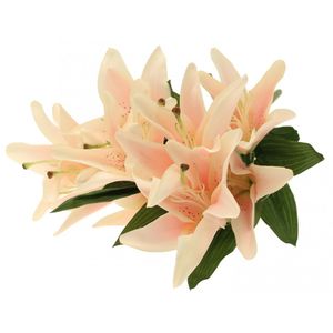 Lily Bush Light Pink