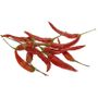 DF4055-Chillies.jpg