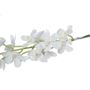 Dainty Orchid Bridal Ivory 