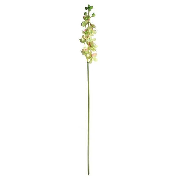 Dainty Orchid Spring Green