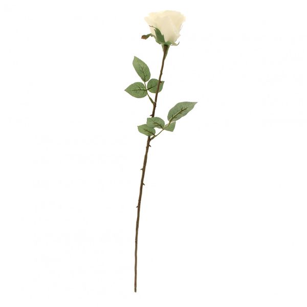 Kaia Rose in White