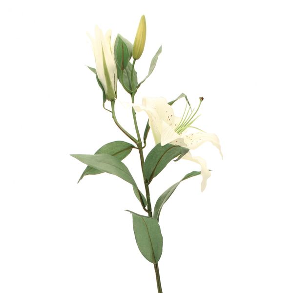 Lily Spray in White
