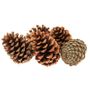 Cones