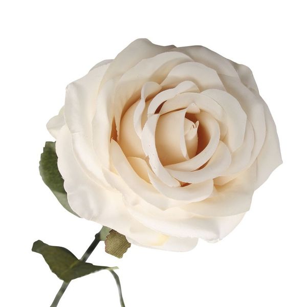 Vintage Rose Cream ) | Easy Florist Supplies