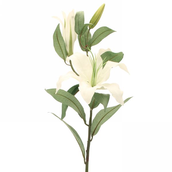 Cream Lily Spray