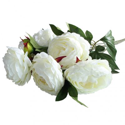 Cream Peony Bunch