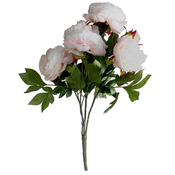 Pink and Cream Peony Bunch