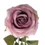 Lilac Rose