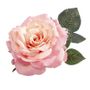 Pink Rose