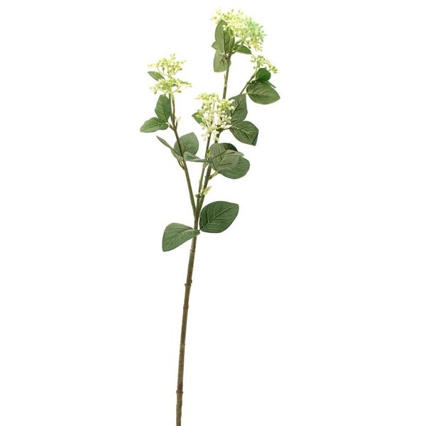 Viburnum Tinus Spray Green White X 3 Easy Florist Supplies