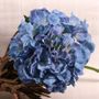 Blue Short Stem Hydrangea