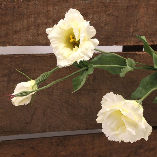 Cream Lisianthus