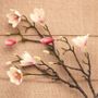 Magnolia Branch Blush Pink