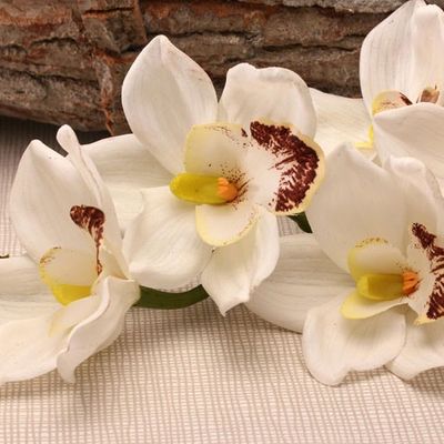 Real Touch Large Cymbidium White (36inch)