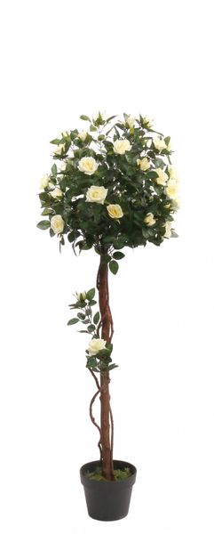 121 cm Rose Tree