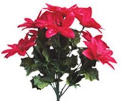 Red Satin Poinsettia Bush