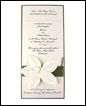 Orchid Long Layer Invitation Category