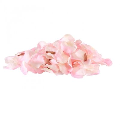 Champagne pink rose petals