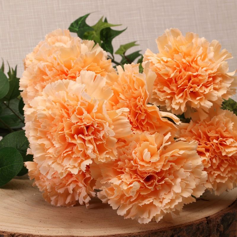 Carnations