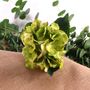 Green Hydrangea