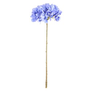 Blue hydrangea