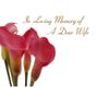 In Loving Memory Dear Wife - Pink Calla Lily Sympathy Cards (x50)