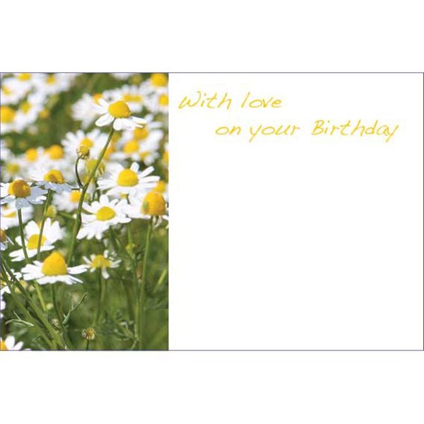 With Love On Your Birthday - Daisies Greeting Cards (x50)