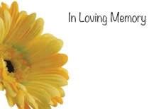 In Loving Memory - Yellow Gerbera Sympathy Cards (x50)