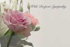 With Deepest Sympathy - Pink Rose Sympathy Cards (x50)