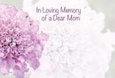 In Loving Memory Dear Mom - Pink Sacbious Sympathy Cards (x50)