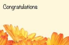 Congratulations - Orange Gerbera Greeting Cards (x50)