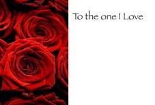 To The One I Love - Red Roses Greeting Cards (x50)
