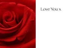 Love You - Red Rose Greeting Cards (x50)